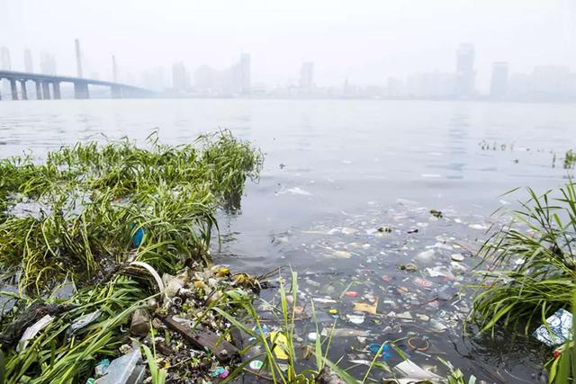 是什么让河流变成垃圾桶？“河流守望者”们坐不住了…