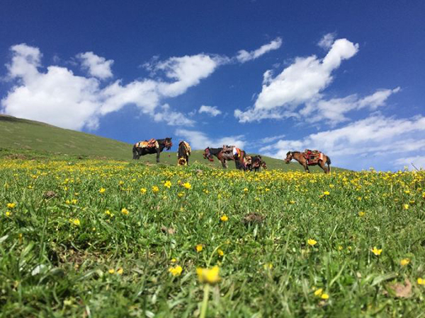 /ueditor/image/2018/05/24/20850cc91b3de4094b7dd1b5b18c48ee.jpg 129879089_15270664694921n.jpg