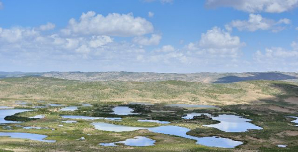 /ueditor/image/2018/05/24/3cb2005aaa87d8918ece0cb1d3e941d3.jpg 129879089_15270672671771n.jpg