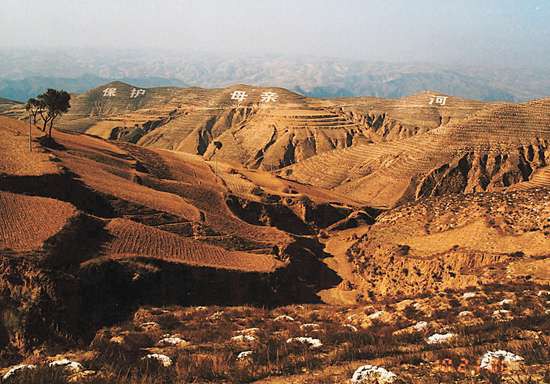 /ueditor/image/2018/06/05/2fe0be10ed5712b665e564b9d287ac5b.jpg 13103998129529806520.jpg