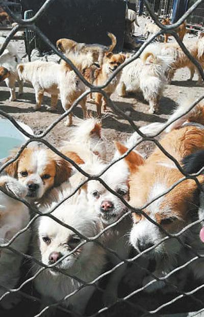 /ueditor/image/2018/06/15/52a19b957577a5600ac2e6ad8f588839.jpg 1.jpg