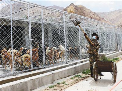 /ueditor/image/2018/06/15/ebe10d6714b30adba8d5f02786235749.jpg W020180615332524953169.jpg