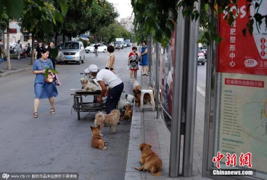 /ueditor/image/2018/06/21/47e8e0a716a9d7e21e9e0b6e161ac6d3.jpg 129898047_15295472635661n.jpg