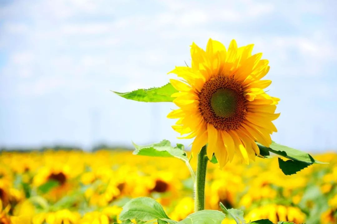 /ueditor/image/2018/12/06/3bf19e12c04231060fbea1ad8f6f54ed.jpg 孤贫儿童.jpg