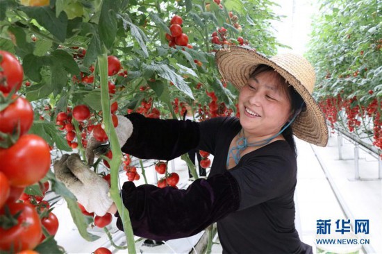 奋力脱贫攻坚 生态追“清”逐“绿”7.jpg