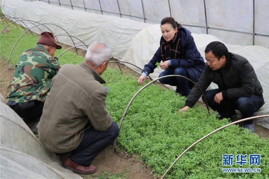 奋力脱贫攻坚 生态追“清”逐“绿”.jpg