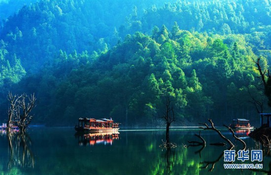 奋力脱贫攻坚 生态追“清”逐“绿”5.jpg