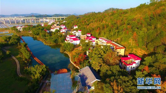 奋力脱贫攻坚 生态追“清”逐“绿”8.jpg