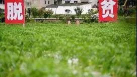 /ueditor/image/2019/02/28/032169fccbaec3c4001f5ea3a53f9016.jpg 一场六年超8000万人减贫的大决战2.jpg