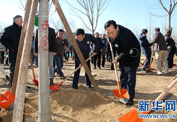 我国2019“国际森林日”植树活动举行 7年共栽苗木7900余株.jpg