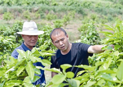 /ueditor/image/2019/04/28/b3da79446f054f52e1de2d1b0baf7b0b.jpg 返乡创业授人以渔 让贫困村摘掉穷帽子.jpg