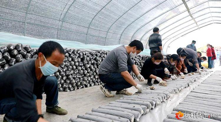 /ueditor/image/2019/04/30/107b602b6fd05be6647fec37205313d5.jpg 脱贫攻坚丨老乡带老乡 桃源贫困户脱贫有人帮4.jpg