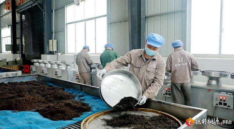 /ueditor/image/2019/04/30/7efcdc3ade0de1d994b3a94f6315d14a.jpg 脱贫攻坚丨老乡带老乡 桃源贫困户脱贫有人帮3.jpg