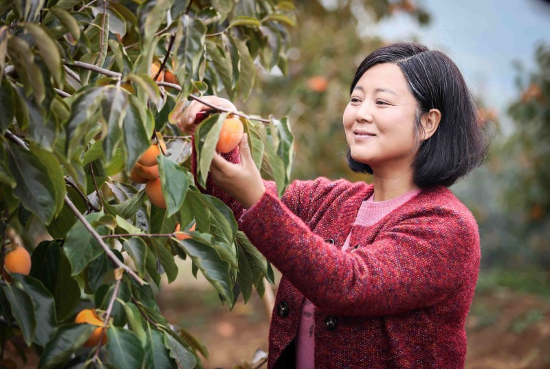 /ueditor/image/2019/05/05/008a4808c34a236c124cfb9a2dd98042.jpg 凌春香:授人以渔兴农村.jpg