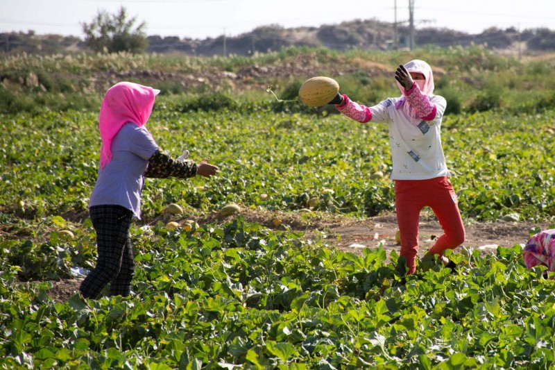 /ueditor/image/2019/05/05/b3e0added65b874dfda26bec80545257.jpg 凌春香:授人以渔兴农村1.jpg