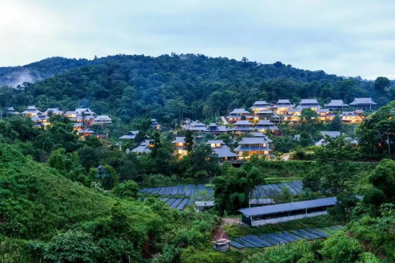 /ueditor/image/2019/05/14/071b716711c9b8c32189485daa45aaf4.jpg 李小云:现代的发展主义者.jpg