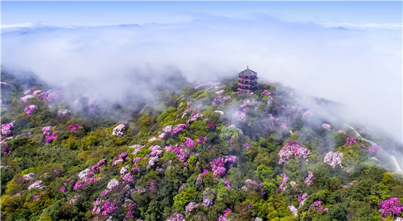 /ueditor/image/2019/05/14/a745e69c1e53b70fd7c6cbd3e46d51ea.jpg 南川擦亮旅游“金字招牌”贫困村吃上了旅游饭1.jpg