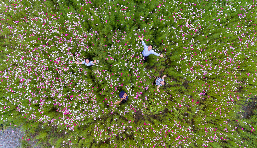 /ueditor/image/2019/05/15/02a96897236fa2b54425a93411573178.png 找准定位精准发力 重庆璧山推进产业新发展2.png