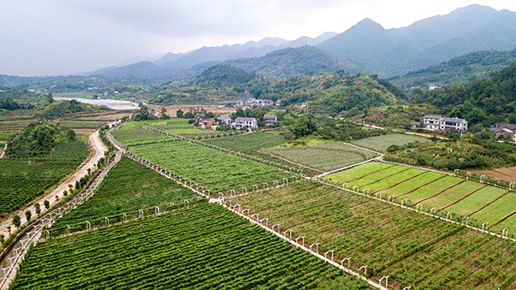 /ueditor/image/2019/05/15/aef4ac79a11e6343e42c36349d76fdda.png 找准定位精准发力 重庆璧山推进产业新发展1.png