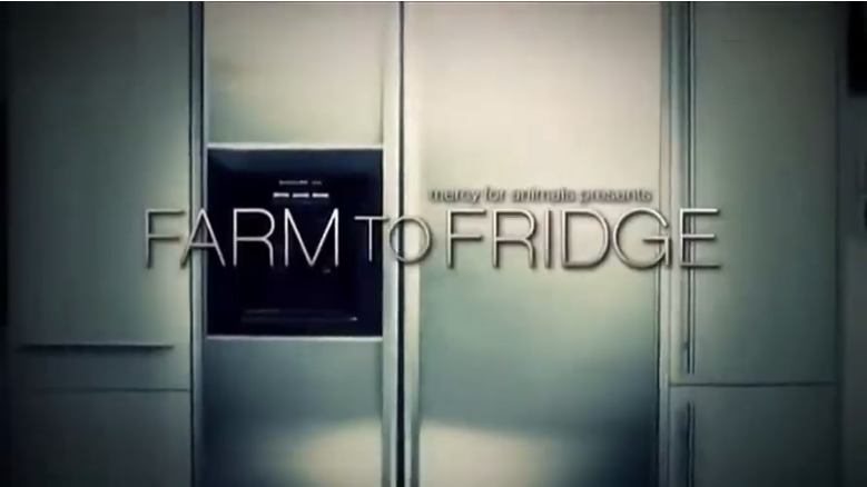 柳济琛： “光盘”与素食的不谋而合1.png