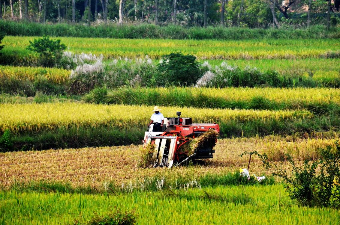 /ueditor/image/2019/06/13/fb9456ce319d12d8c9459404e0a79b32.jpg 中国农村贫困发生率降至1.7%1.jpg