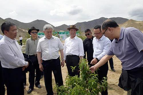 刘永富考察调研亿利西藏生态产业扶贫.jpg