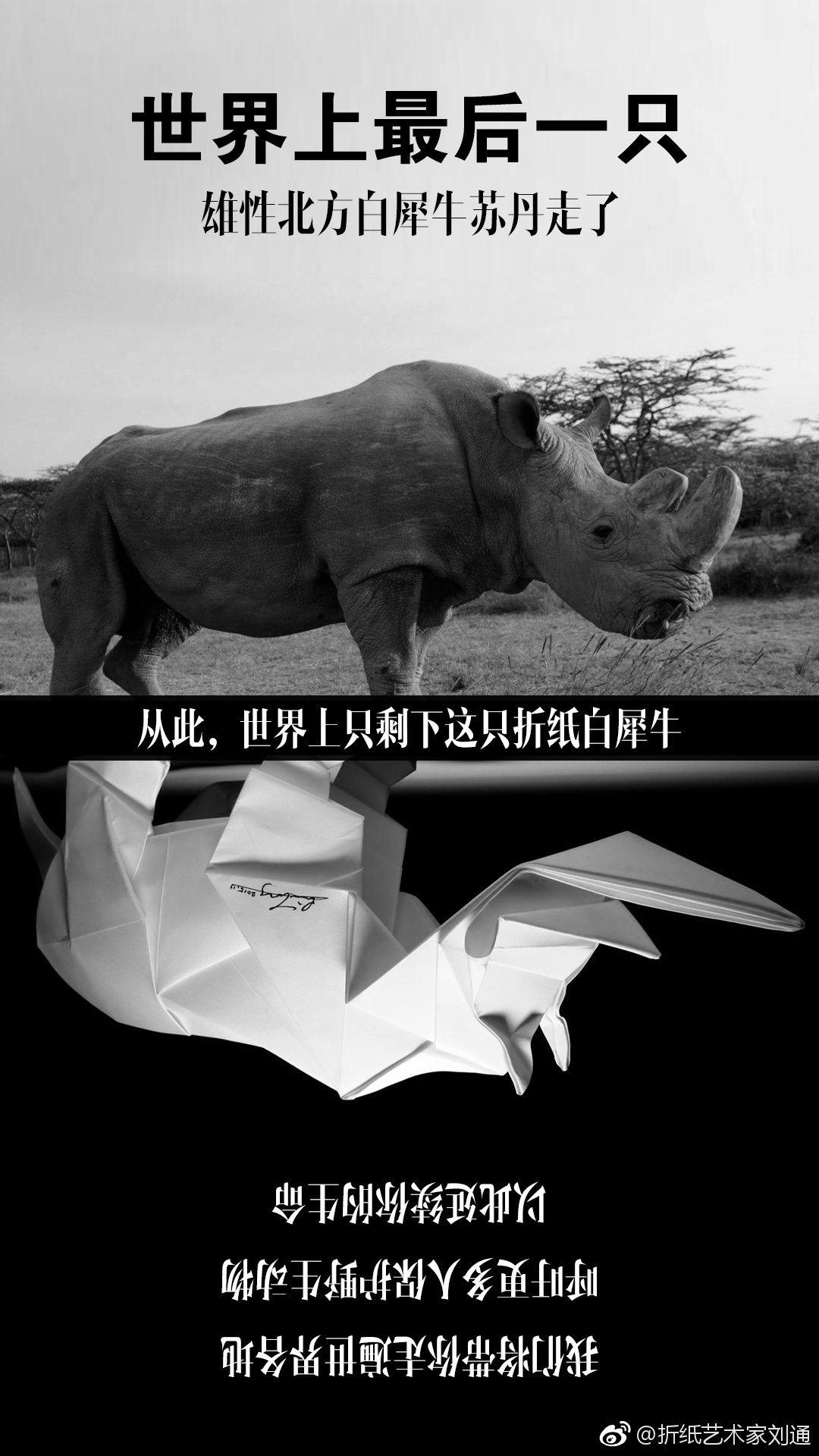 /ueditor/image/2019/06/25/5944b81f05cf6bf26b0227b045aaf6c5.jpg 吉尼斯纪录创造者刘通:一张纸的公益行动6.jpg