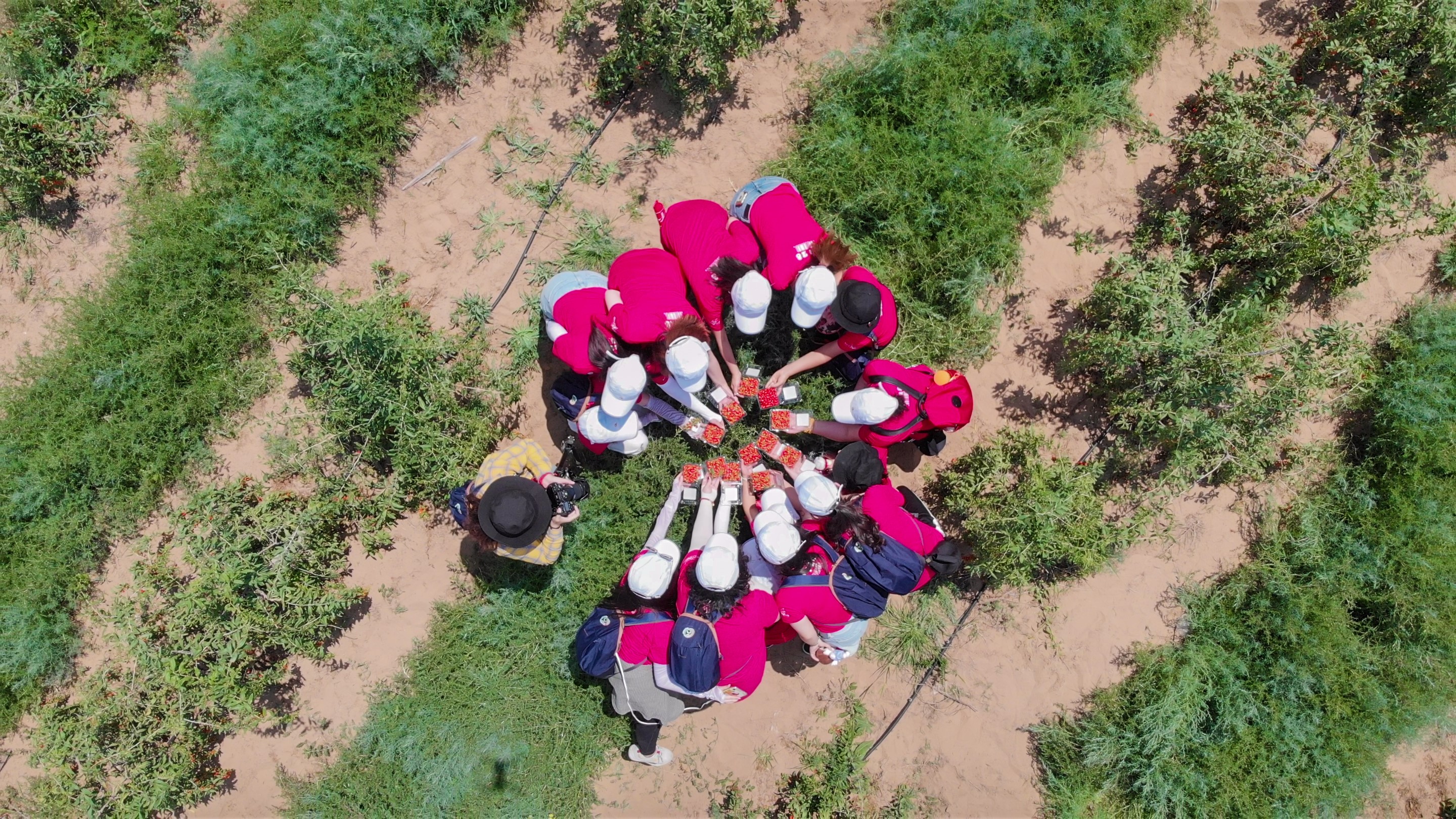 /ueditor/image/2019/07/16/f6fd5838ae65c95204026cf243682038.jpg “幸福家园”为宁夏中宁县贫困户增收奠定基础5.jpg