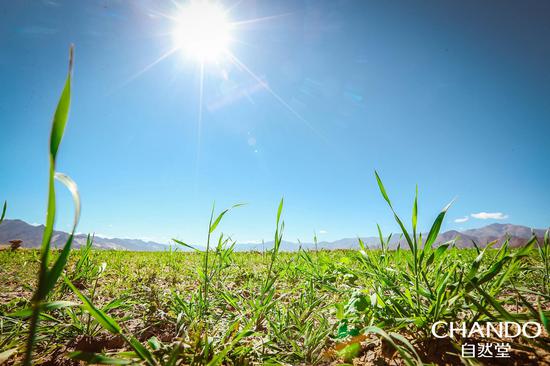 /ueditor/image/2019/07/22/2da56ed2298e0a7333a9c003a9113666.jpg 2019种草喜马拉雅公益在行动3.jpg