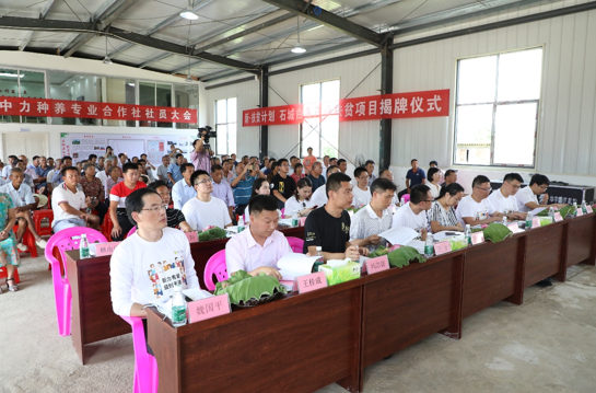 /ueditor/image/2019/08/05/46e69604b5fb86393874c5188f2d2ffb.jpg 白莲产业扶贫项目在赣挂牌.jpg