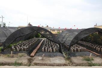 /ueditor/image/2019/08/05/7ed538ddc0cde944e961a2ca1f8c0d4e.jpg 中国电商扶贫联盟走进阿克苏开展电商扶贫1.jpg