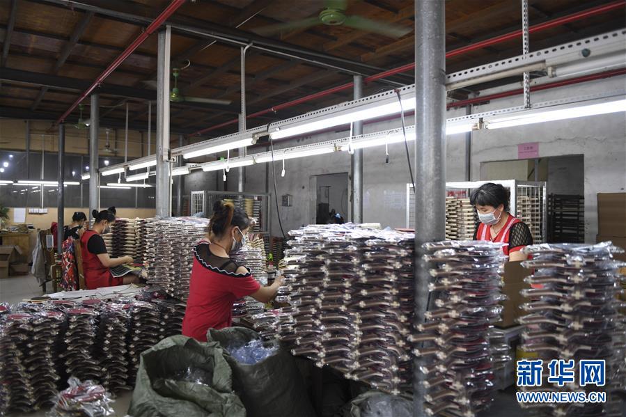 /ueditor/image/2019/08/14/33ac7b53c82bf9b45e688fde101d59f4.jpeg 广西兴业:“就业扶贫车间”助农脱贫增收3.jpeg