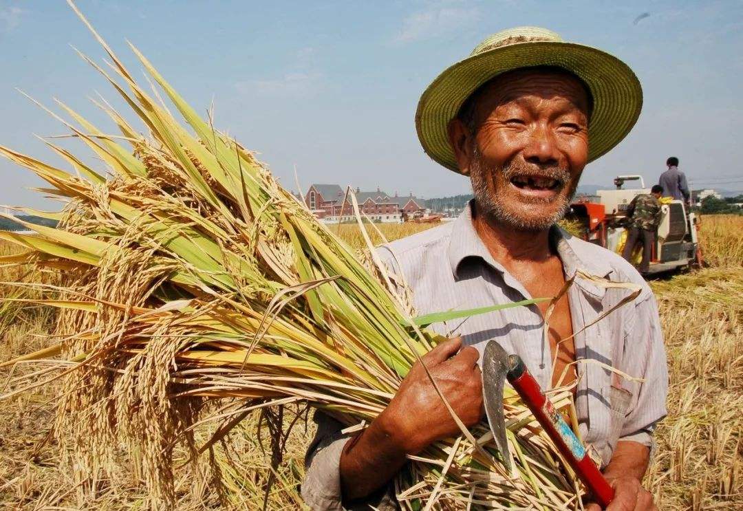 /ueditor/image/2019/08/19/bf44decdba8587a53369b2ec5b721e36.jpg 统计局扶贫报告:区域性整体减贫成效明显.jpg