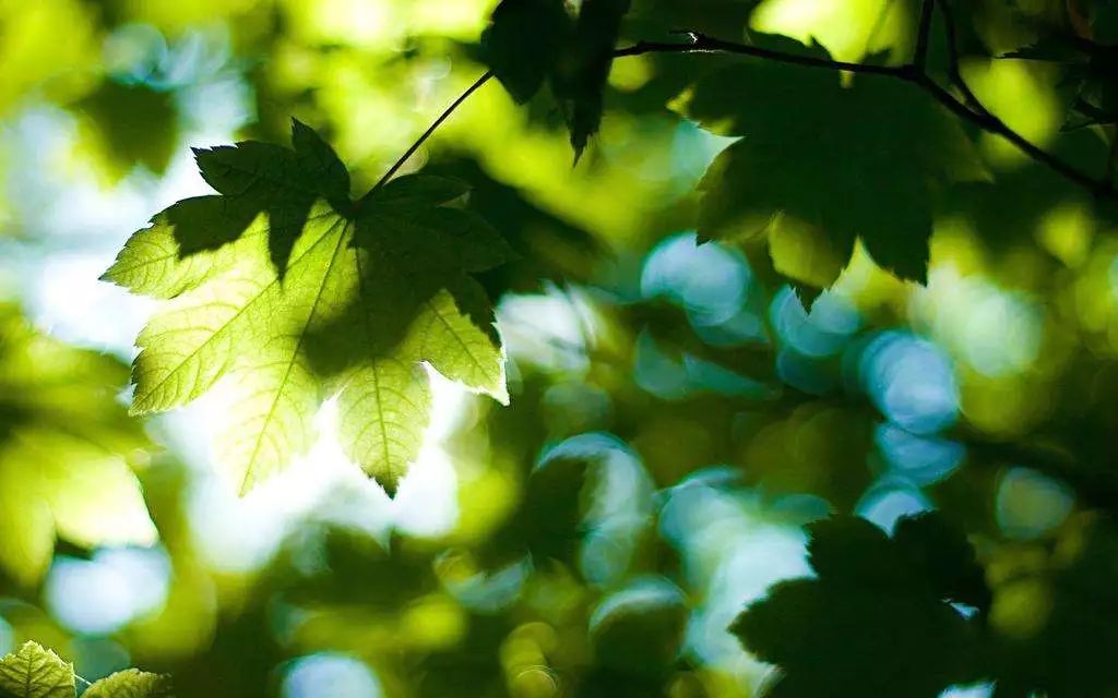 /ueditor/image/2019/08/21/e9ff22b379c59bb17554fb17841f09de.jpeg 江西:扶贫送技术 帮到点子上.jpeg