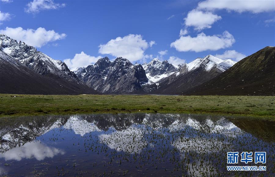 /ueditor/image/2019/08/22/7fc4729af72d43a336197d964af52e5b.jpg 我国自然保护地体系建设取得阶段性成效.jpg