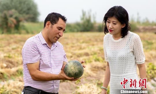 /ueditor/image/2019/08/22/d7cab77fd059d00301c4167aec90b0d4.jpg 新疆伽师打造高质量特色农产品扶贫1.jpg