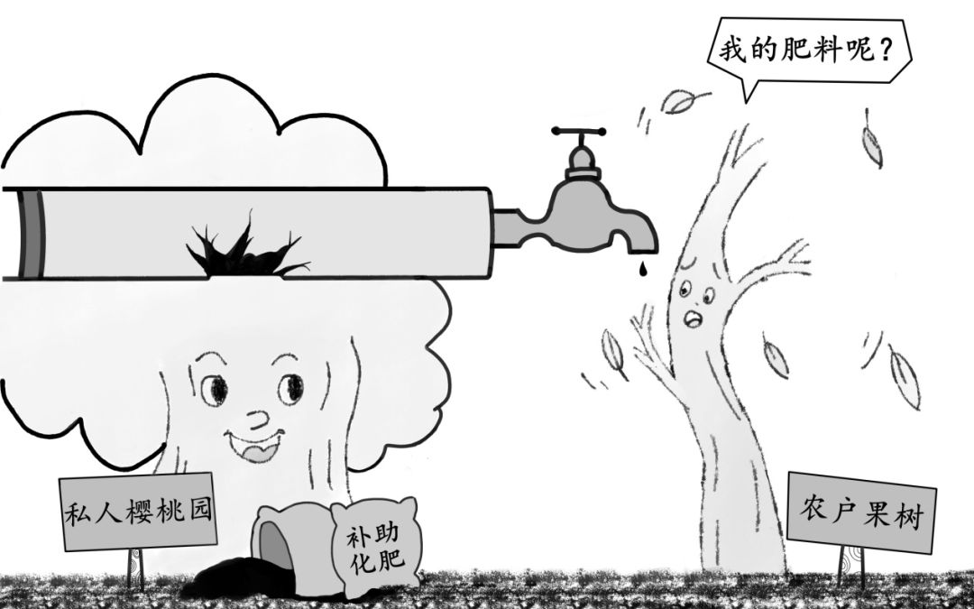 /ueditor/image/2019/08/23/c05faefa887103dd9a13439134d9cfa5.jpeg 惠农补助化肥为何“失联”两年.jpeg