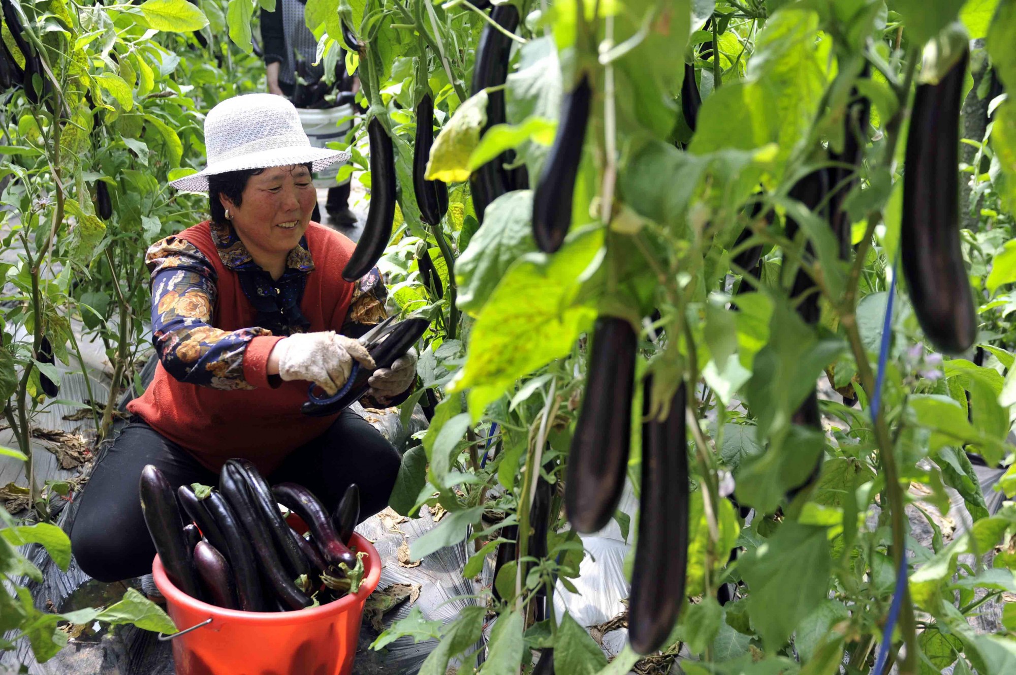 /ueditor/image/2019/08/26/a8d3681ac4257889f896fd15ca716f94.jpg 确保如期全面打赢脱贫攻坚战.jpg