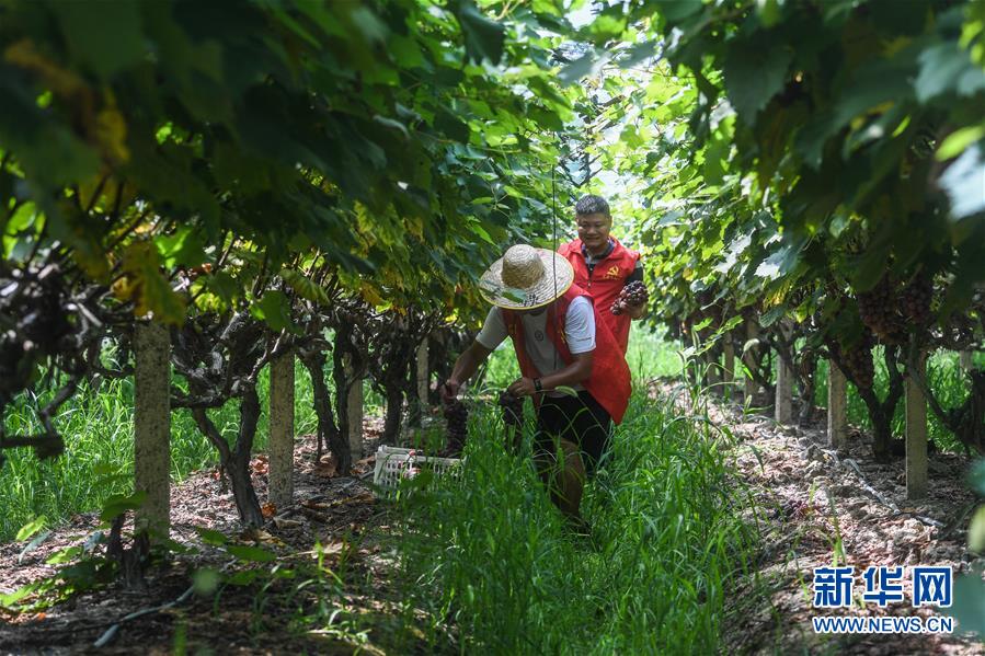 /ueditor/image/2019/08/28/dc9a90043ef1a5fc857edaf78b68c14e.jpeg “我为你代跑”基层党员服务乡村残疾人4.jpeg