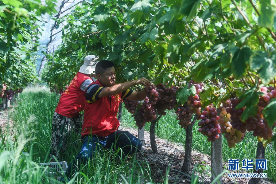 /ueditor/image/2019/08/28/ee81807e9b956bb7be3c3b2c6535d942.jpeg “我为你代跑”基层党员服务乡村残疾人1.jpeg