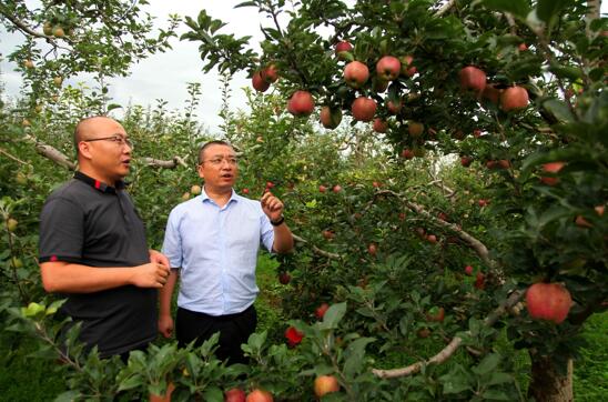 /ueditor/image/2019/08/29/18eb7036a3bdc99c42388f24e264ad3c.jpg 肃礼县携手阿里巴巴 创新“脱贫特派员”模式1.jpg