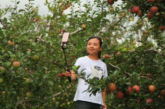 /ueditor/image/2019/08/29/a69b98bc2eb3b4ccac0ca6d42b3fc606.jpg 肃礼县携手阿里巴巴 创新“脱贫特派员”模式3.jpg