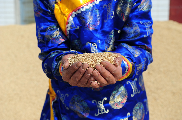 /ueditor/image/2020/01/14/136d1eb089b55298f6a2b8cb5d3f4bd1.png 20200110157864485620.png