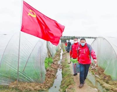 /ueditor/image/2020/02/18/a268a94a055e401b73ba0852a0360bd8.jpg 微信图片_20200218141902.jpg