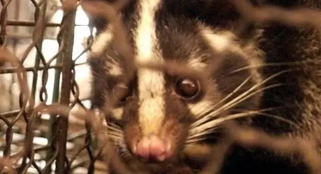 /ueditor/image/2020/02/25/1be74ffd4965e75867a14458f5b57f1c.jpeg 70856D5BD589562AB5146D0DAC9AD06B347DD8BF_size35_w640_h348.jpeg