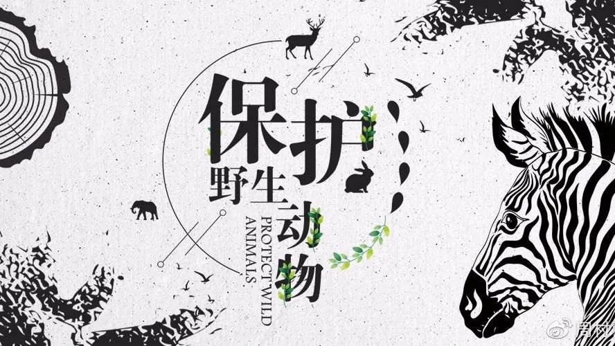 /ueditor/image/2020/02/25/2c18e14a0a075ec75b11698b230d4b03.jpeg F7B80FEC78423B74CE9CA3CCB22355031D6D9C05_size105_w888_h500.jpeg