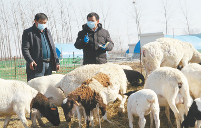 /ueditor/image/2020/03/02/62f7f9e9239572bd8065a7a54714e7fe.jpg 1582485922266_1 (1).jpg