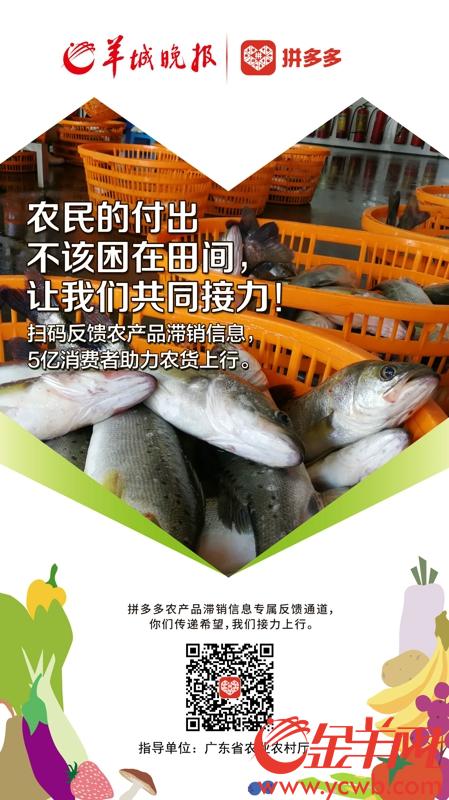 /ueditor/image/2020/03/03/8eedcbb6c933a7a081d585ded6b21227.jpeg s (30).jpeg