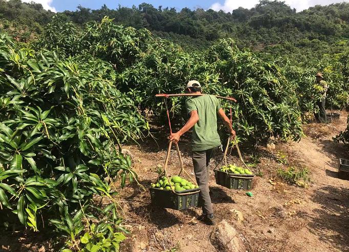 /ueditor/image/2020/03/10/a68b679233a5cd2acfffe298b5fce250.jpg 1210468890_15813221739691n.jpg