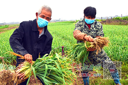 /ueditor/image/2020/03/27/826d1250caff3a569d8130221f7701d5.jpg 00302790487_9e42f250.jpg